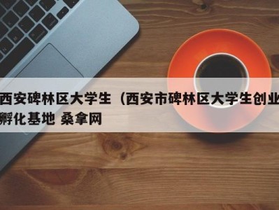 义乌西安碑林区大学生（西安市碑林区大学生创业孵化基地 桑拿网