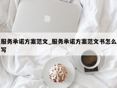 义乌服务承诺方案范文_服务承诺方案范文书怎么写 